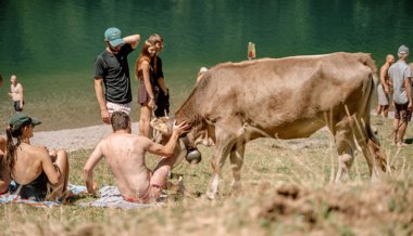 Abfall, Drohnen und Einweggrills: So arbeiten die Alpstein-Ranger am Seealpsee