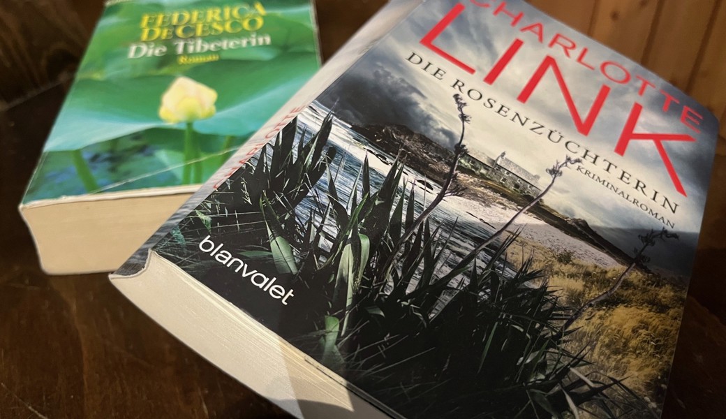 Ich habe vor in meinen Ferien diese Bücher zu lesen, trotz der Kinder 