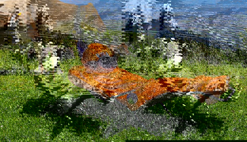 Der schlaue Fuchs löst seinen «Buchs erleben»-Gutschein für einen entspannenden Nachmittag auf dem Buchser Malbun ein.