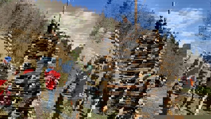  Stamm um Stamm wuchs der Funken mehrere Meter in die Höhe. 