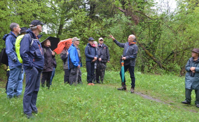 Wendehalsprojekt besichtigt: Lebensraum für einen aussergewöhnlichen Specht
