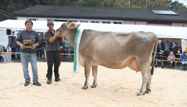 Überwältigender Publikumsaufmarsch: Grosses Interesse für Buchser Kühe