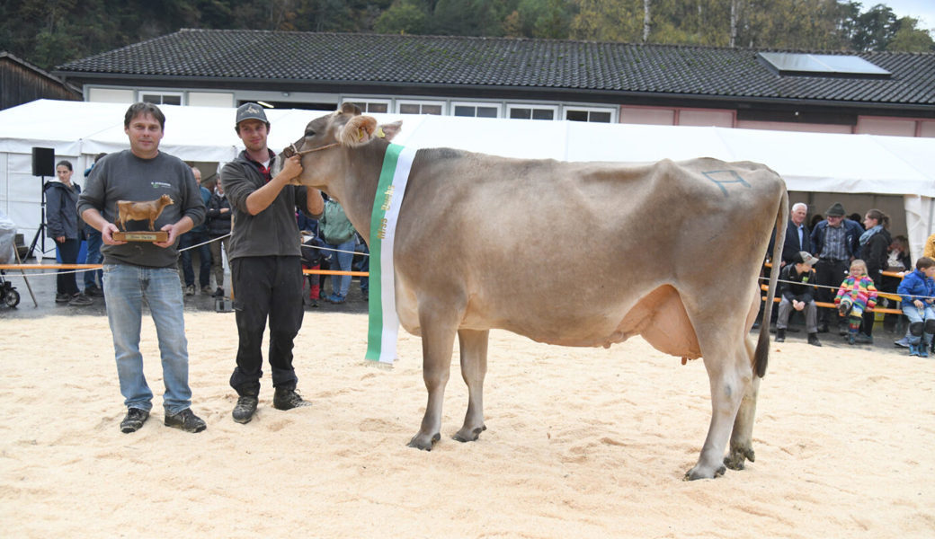  Die Miss Buchs 2022 mit dem Züchter Hans Pernet (links) und dem Vorführer Nino Raffl.
