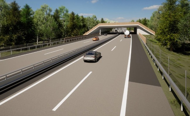 Wildtierbrücken über A13 kommen – Baustart leicht verschoben