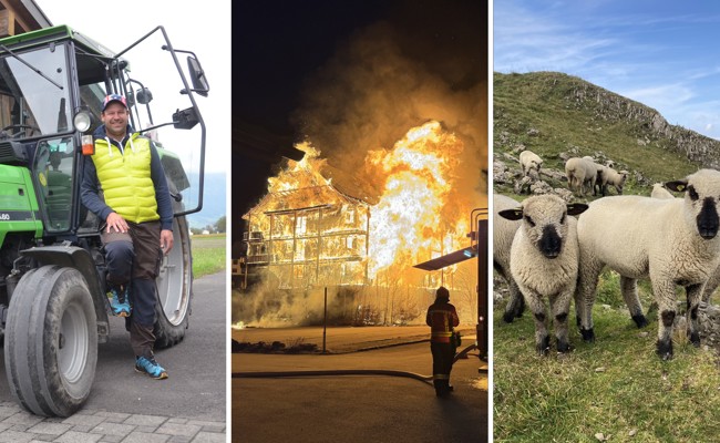 Wölfe, Flammen und verliebte Landwirte – das wurde 2024 geklickt
