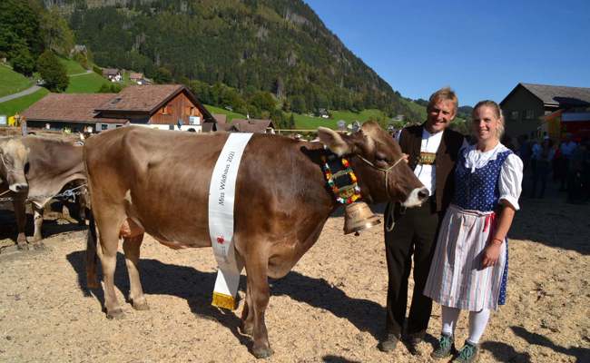 Ein Jauchzer, Glückwünsche und Emotionen: «Senta» wird zur Miss Wildhaus gekürt