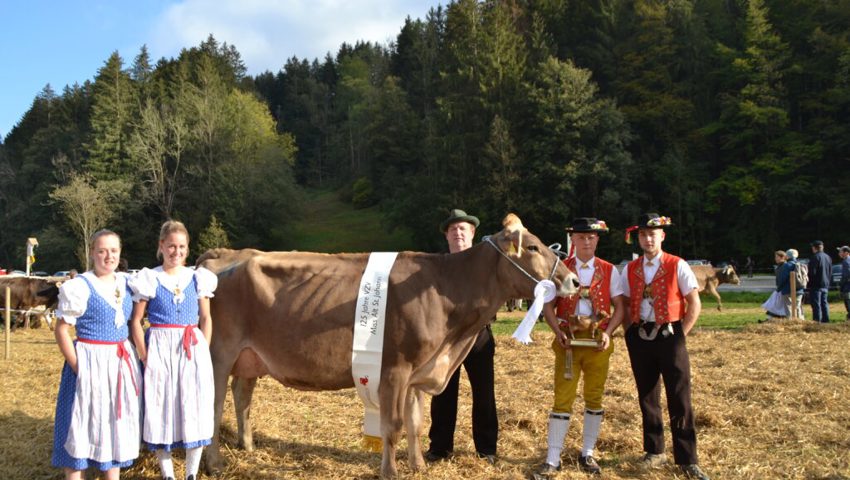  «Soraya» wurde bereits 2021 zur Miss Alt St. Johann gekürt. Archivbild: Adi Lippuner