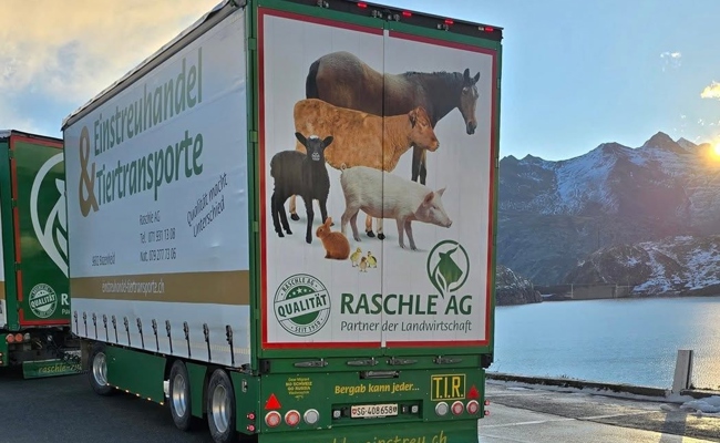 Firma empört mit fremdenfeindlichem Spruch auf Lastwagen