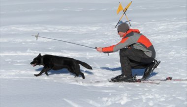 «Der Hund soll Spass im Schnee haben»: Wie Lawinenhunde ausgebildet werden