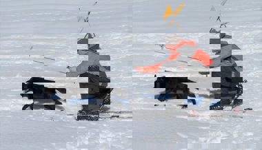 «Der Hund soll Spass im Schnee haben»: Wie Lawinenhunde ausgebildet werden