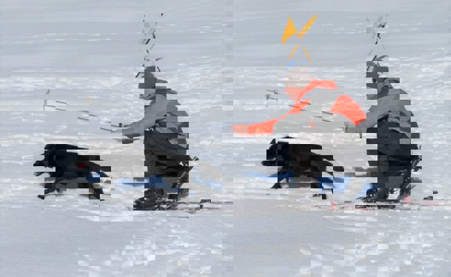 «Der Hund soll Spass im Schnee haben»: Wie Lawinenhunde ausgebildet werden