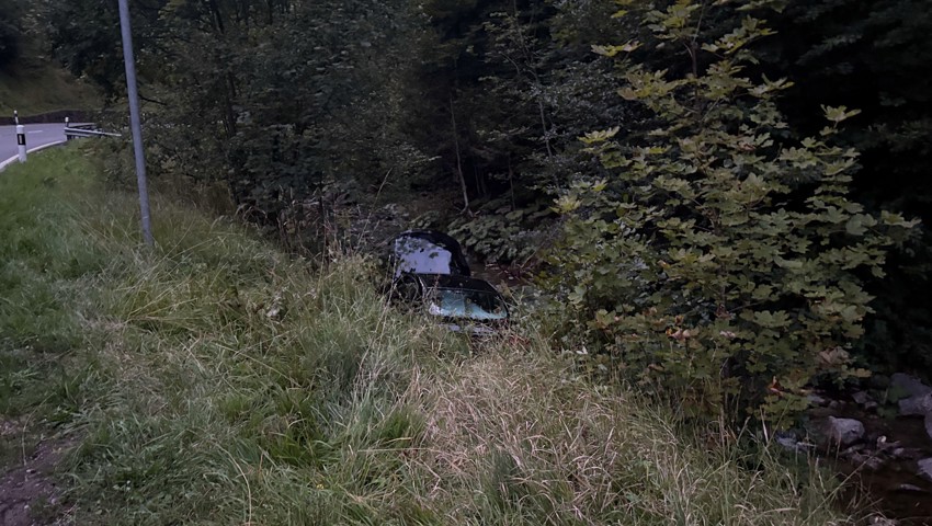 Für den Lenker verlief der Selbstunfall glimpflich: er blieb unverletzt.