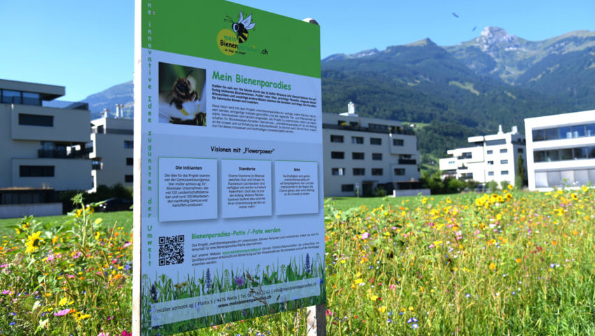 Eine Tafel informiert über das Projekt der Müller Azmoos AG. Eine Tafel informiert über das Projekt der Müller Azmoos AG.