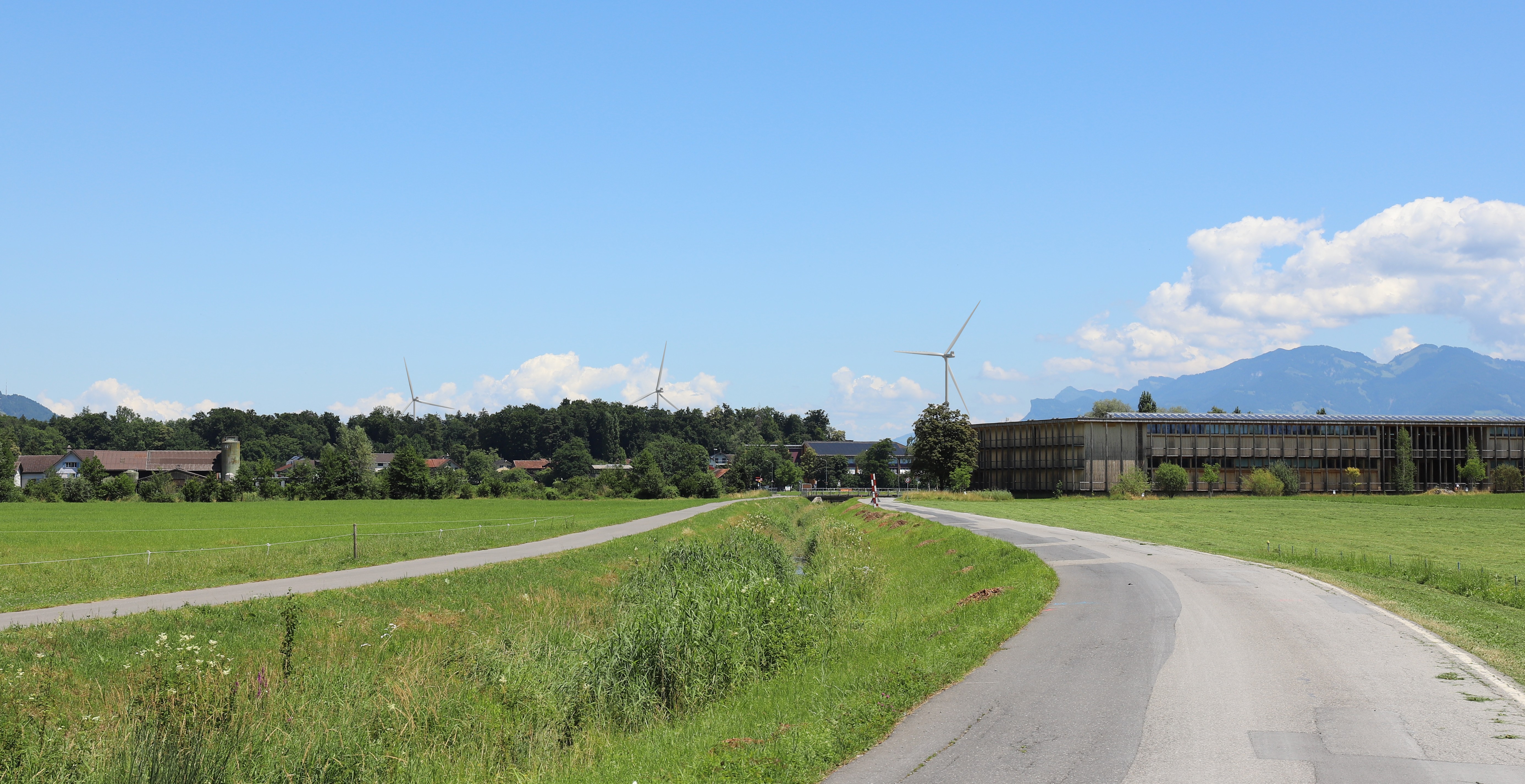 Ohne Windkraft keine Energiewende: In der Sennwalder Au soll ein Windpark entstehen
