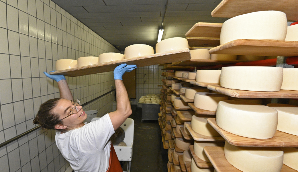 Geisschäs mit Goldstatus – das Geheimnis von Malschüel