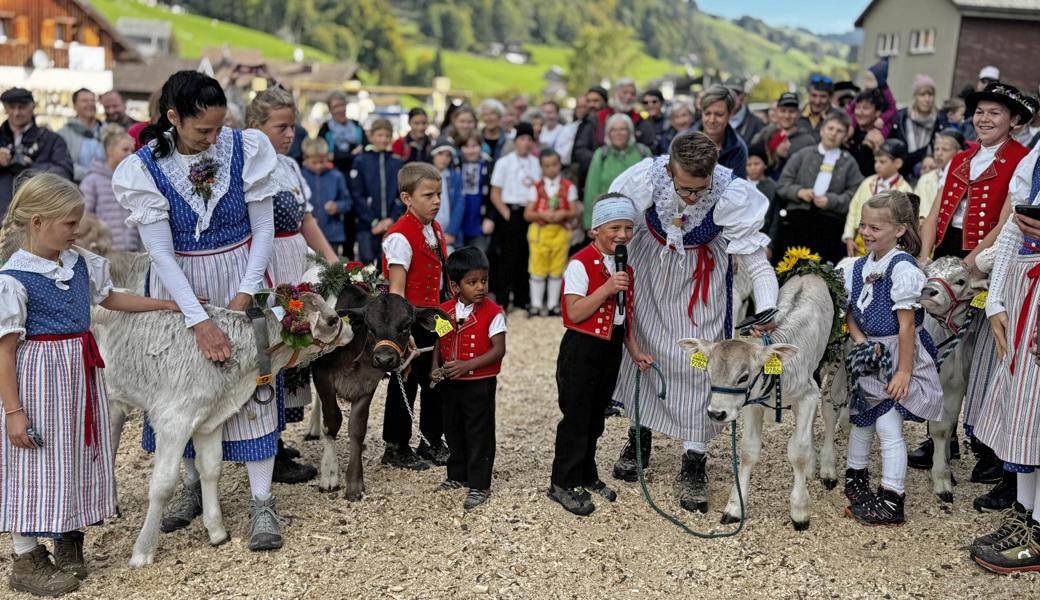 Tradition mit Jö-Effekt: Die Viehschau im Chuchitobel