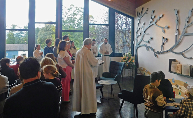 Lebensbaum soll immer mehr Blätter bekommen