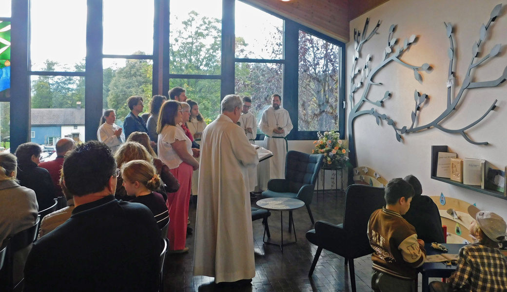 Lebensbaum soll immer mehr Blätter bekommen