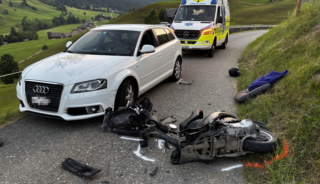 Aufprall minimiert: Das Auto konnte vor der Kollision noch abbremsen.