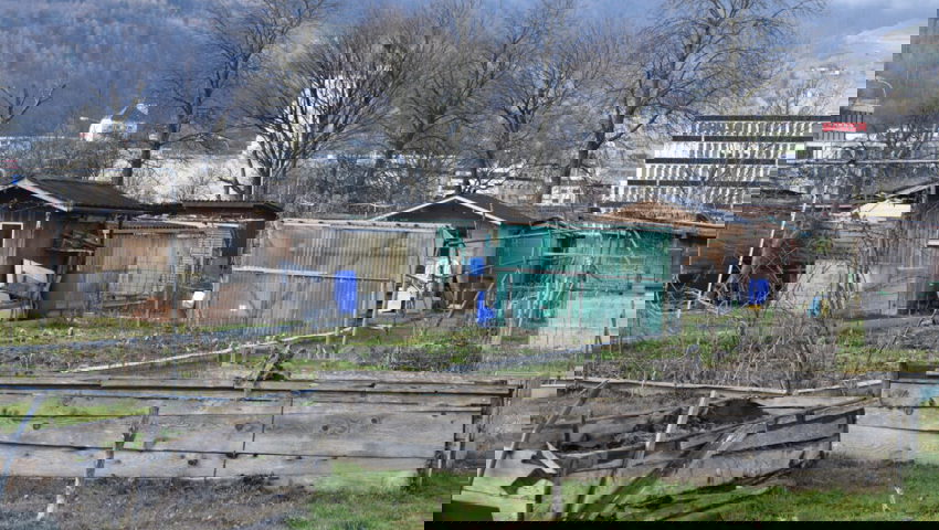  Einige Hobbygärtnerinnen und -gärtner sind nicht einverstanden mit den Plänen der Ortsgemeinde.