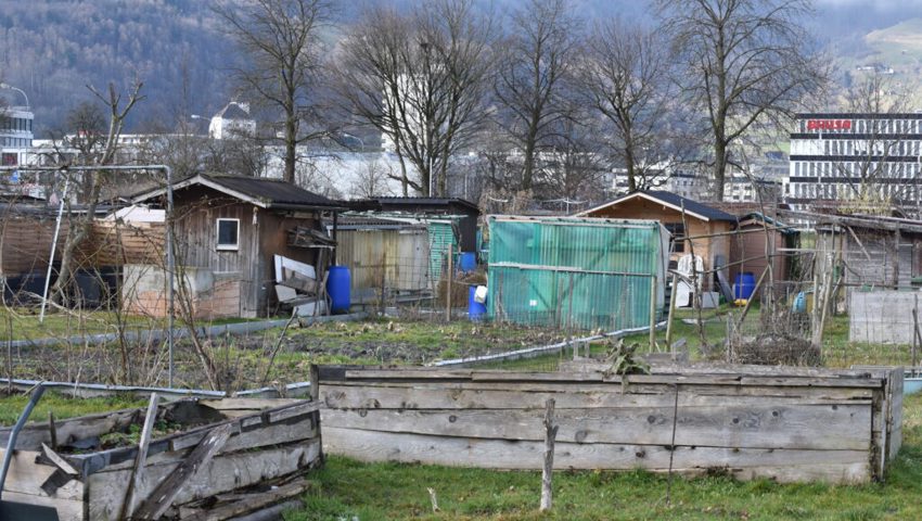  Einige Hobbygärtnerinnen und -gärtner sind nicht einverstanden mit den Plänen der Ortsgemeinde.