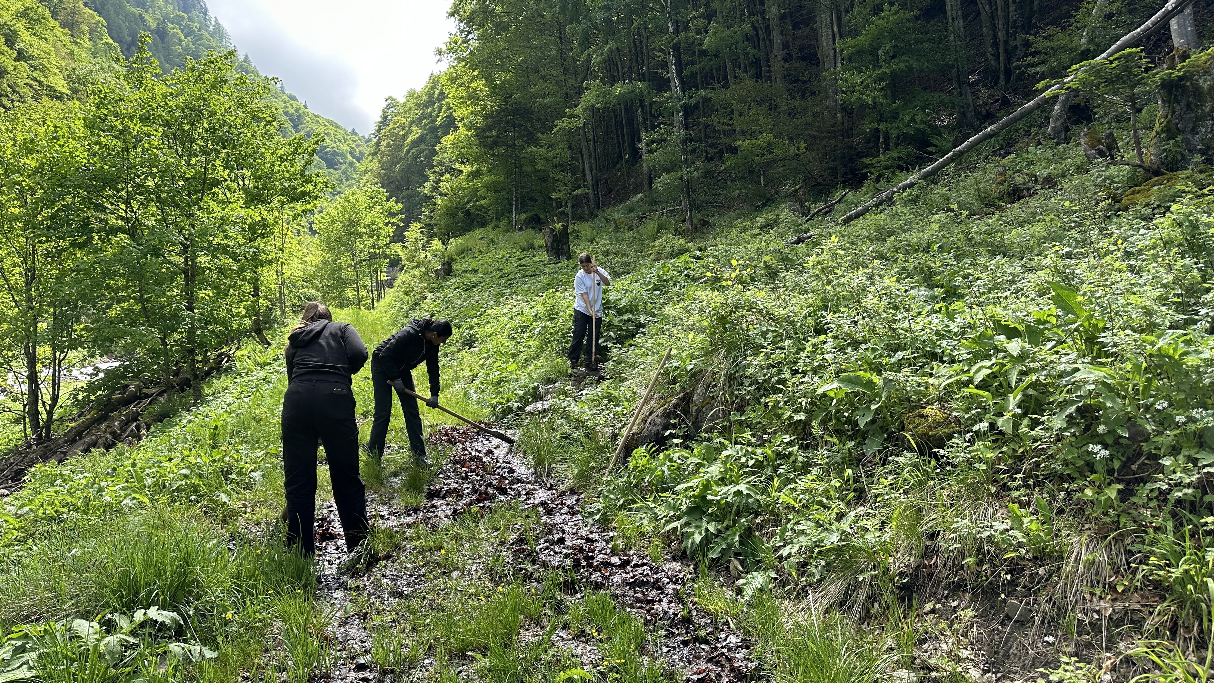 Kinder und Jugendliche erforschen erneuerbare Energien