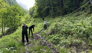 Kinder und Jugendliche erforschen erneuerbare Energien