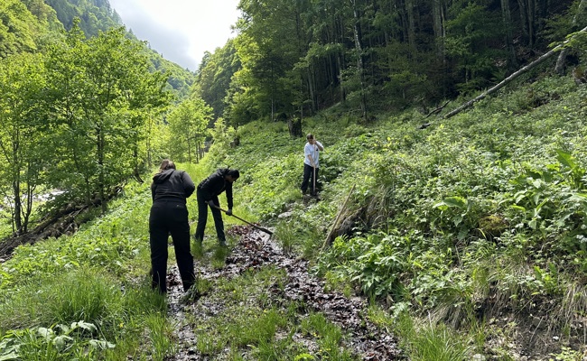 Kinder und Jugendliche erforschen erneuerbare Energien