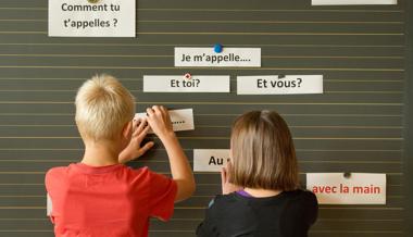 Sorgen, Klagen, Druck: Die meisten wollen Frühfranzösisch abschaffen