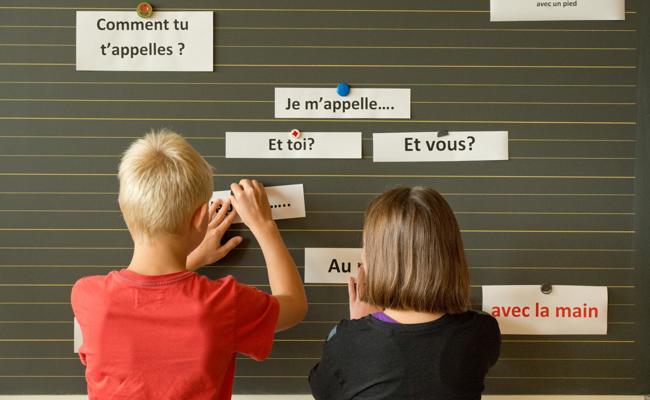 Sorgen, Klagen, Druck: Die meisten wollen Frühfranzösisch abschaffen