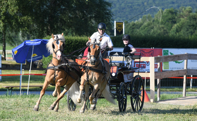 Gespannfahrer Urs Bicker war eine Klasse für sich