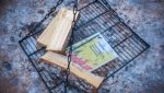 Kanton St.Gallen hebt Feuerverbot im Wald auf – Trockenheit bleibt ein Problem