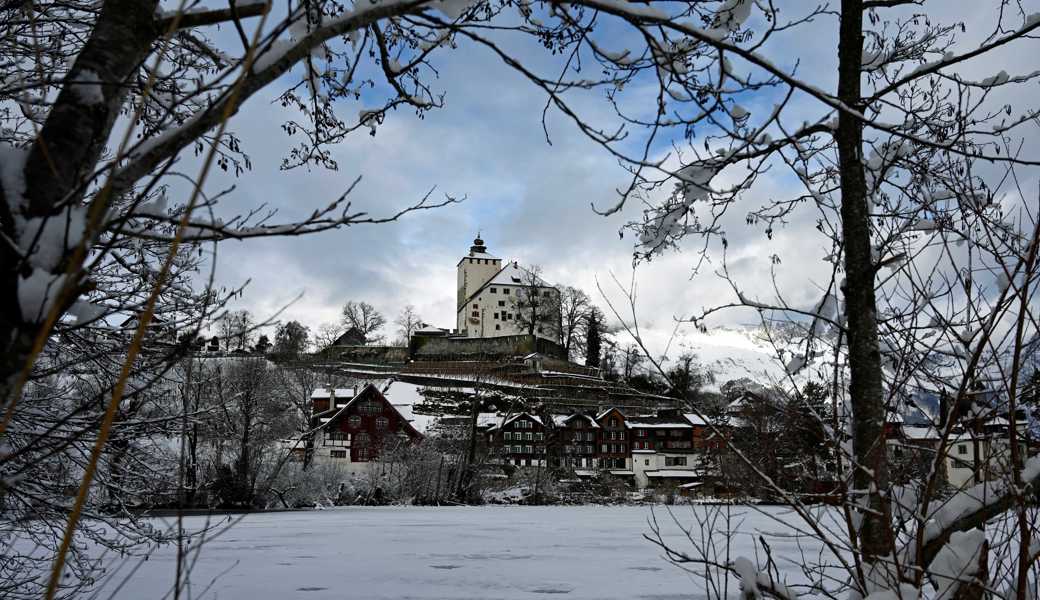 Schön, aber vergänglich: Werdenbergersee im Winterkleid