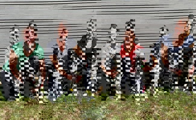 Sandra Loosli erfüllt die Agility-WM-Norm: «Ein traumhaftes Erlebnis»