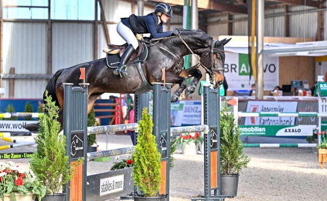 Vier Tage Pferdesport in der Oberrieter Reithalle