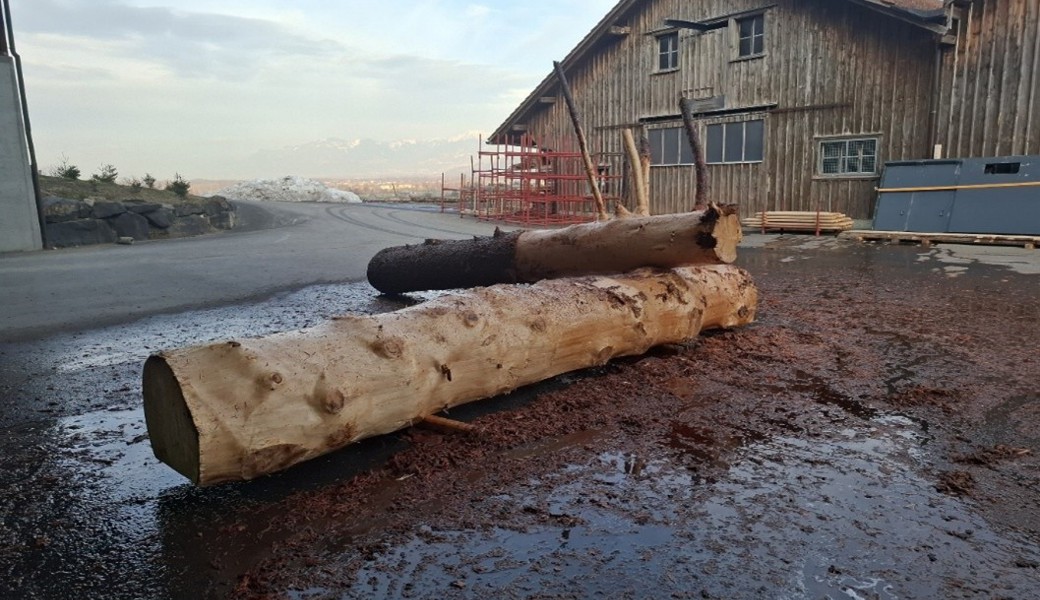 Aaro Siren und das Forstteam der Ortsgemeinde Gams haben für das Schwingfest einen Brunnen angefertigt.