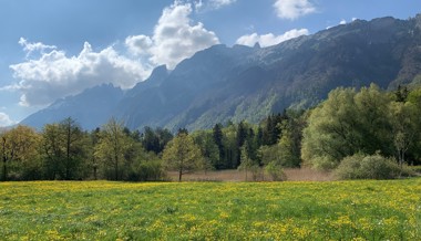 Damit das Feuchtgebiet feucht bleibt: Der Egelsee wird aufgewertet