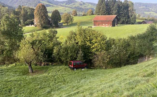 Auto durchbricht Weidezaun und prallt in Schaf