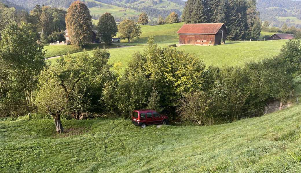 Alkoholisiert in eine Weide gefahren: Als Folge des Unfalls musste ein Schaf eingeschläfert werden.