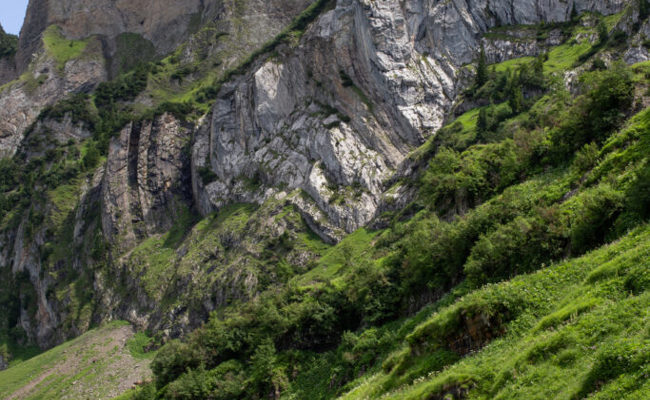 Nach dem Wolfsriss: «Mit dem Herdenschutzzaun sind nicht einfach alle Probleme gelöst»