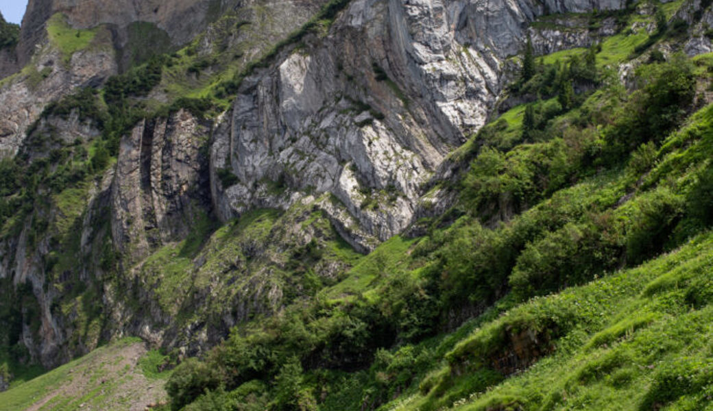 Im steilen Gelände bauten die Männer den Schutzzaun für die Ziegenherde. 