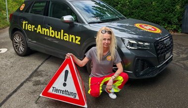 «Am 1. August glühen die Telefone»: Chefin der neuen Tier-Ambulanz über Katzen, die dann vom Balkon springen