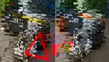 «Am 1. August glühen die Telefone»: Chefin der neuen Tier-Ambulanz über Katzen, die dann vom Balkon springen