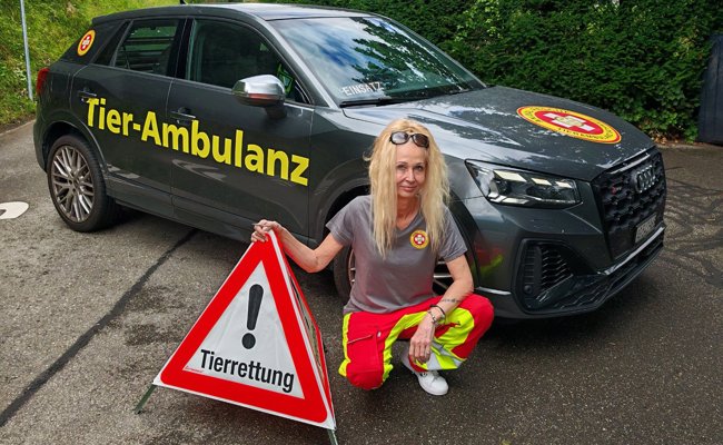 «Am 1. August glühen die Telefone»: Chefin der neuen Tier-Ambulanz über Katzen, die dann vom Balkon springen