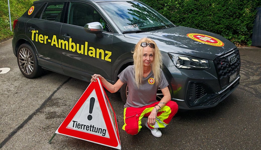 «Am 1. August glühen die Telefone»: Chefin der neuen Tier-Ambulanz über Katzen, die dann vom Balkon springen