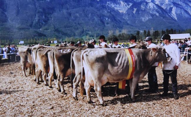 125 Jahre: Viehzucht erlangte nach und nach eine grössere Bedeutung