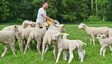 Schafzucht – ein Hobby, das abverlangt aber auch zurückgibt