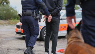 Zwei Algerier nach Diebstahl festgenommen - auch dank Diensthund