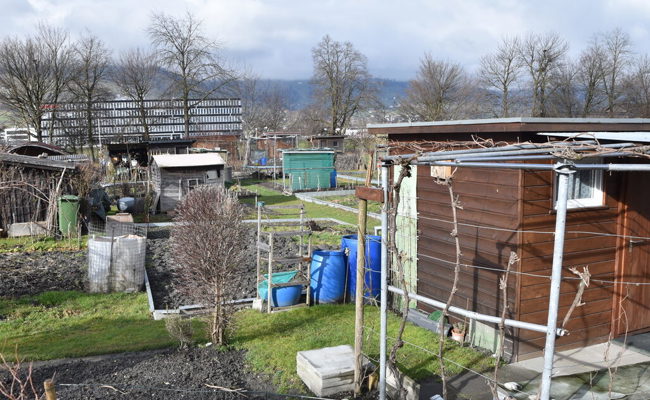 Leserbrief: «Struktura 24» ist überfällig. Der VR kommt seiner Pflicht und Kompetenz nach