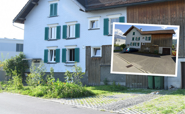 Aus Grau mach Grün: Ein Vorplatz erwacht